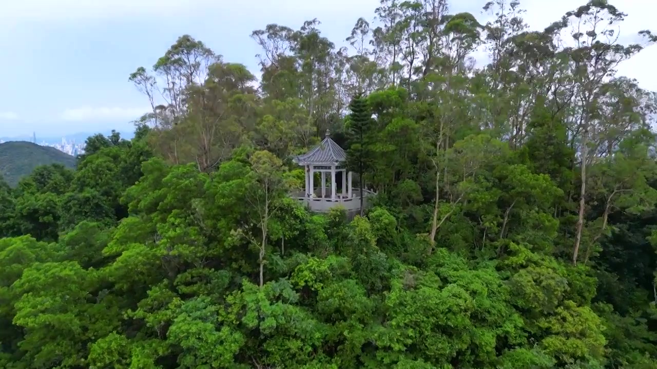 航拍深圳塘朗山公园听涛亭雨后风景视频素材