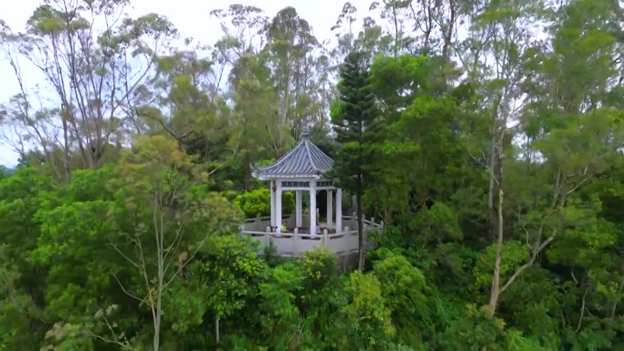 航拍深圳塘朗山公园听涛亭雨后风景视频素材