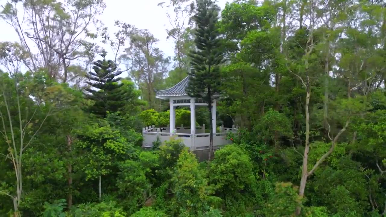 航拍深圳塘朗山公园听涛亭雨后风景视频素材