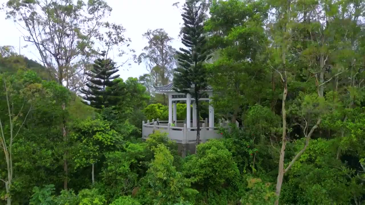 航拍深圳塘朗山公园听涛亭雨后风景视频素材