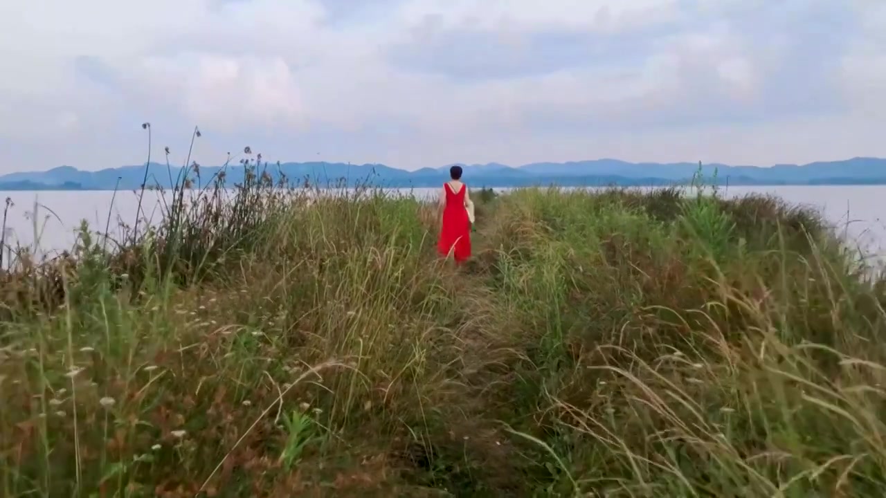 夏天，一位女游客在贵州威宁草海视频素材