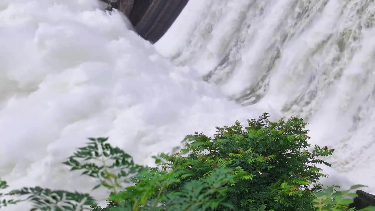 湖南 安化 柘溪水库 泄洪 暴雨 水位上涨视频下载