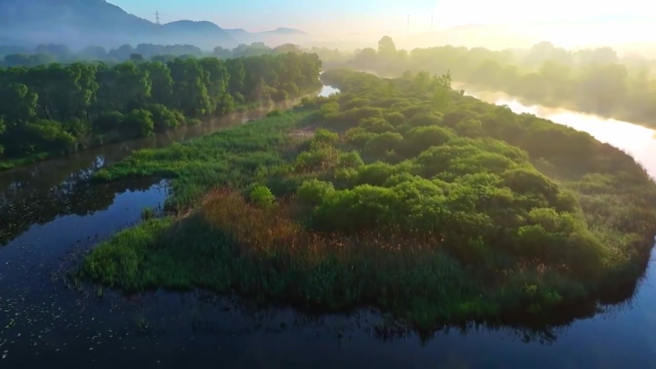 清晨光线下的生态湿地红树林水面视频下载