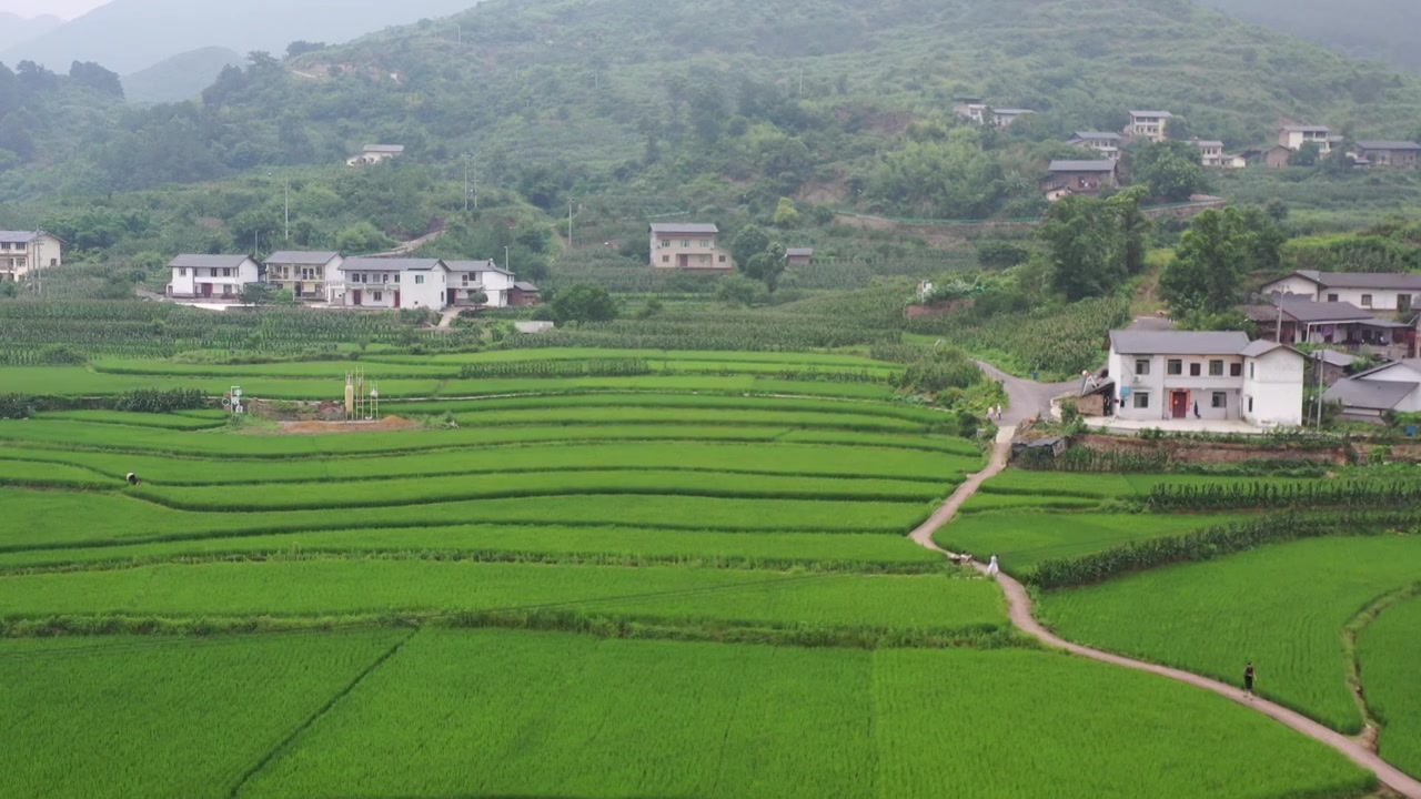 航拍北碚区田园风光视频素材