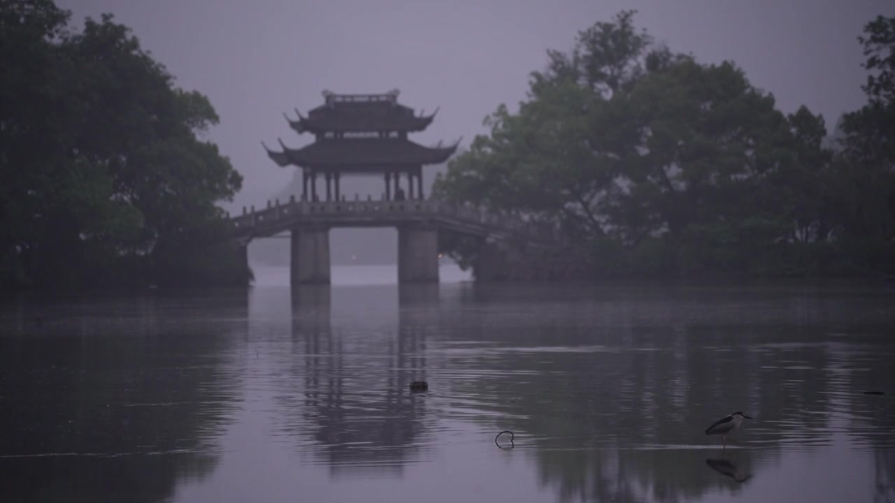 西湖玉津桥清晨风光视频下载