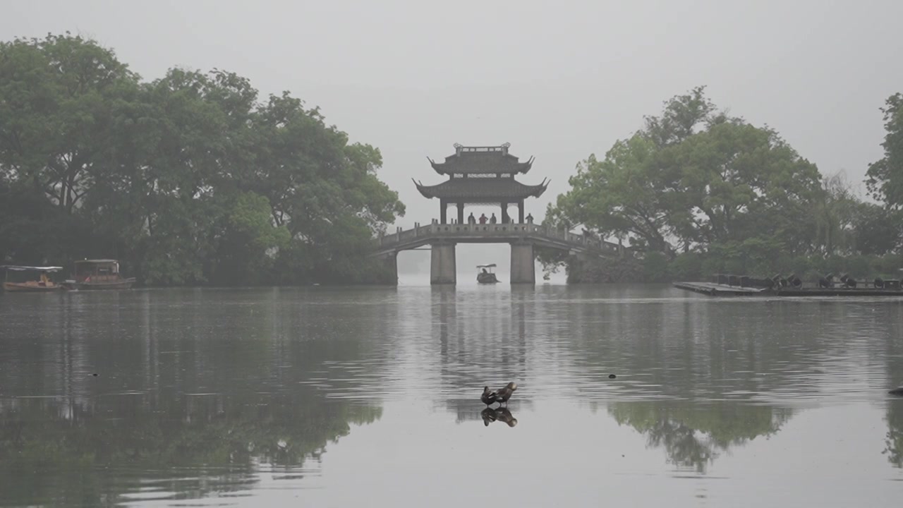 西湖玉津桥清晨风光视频下载