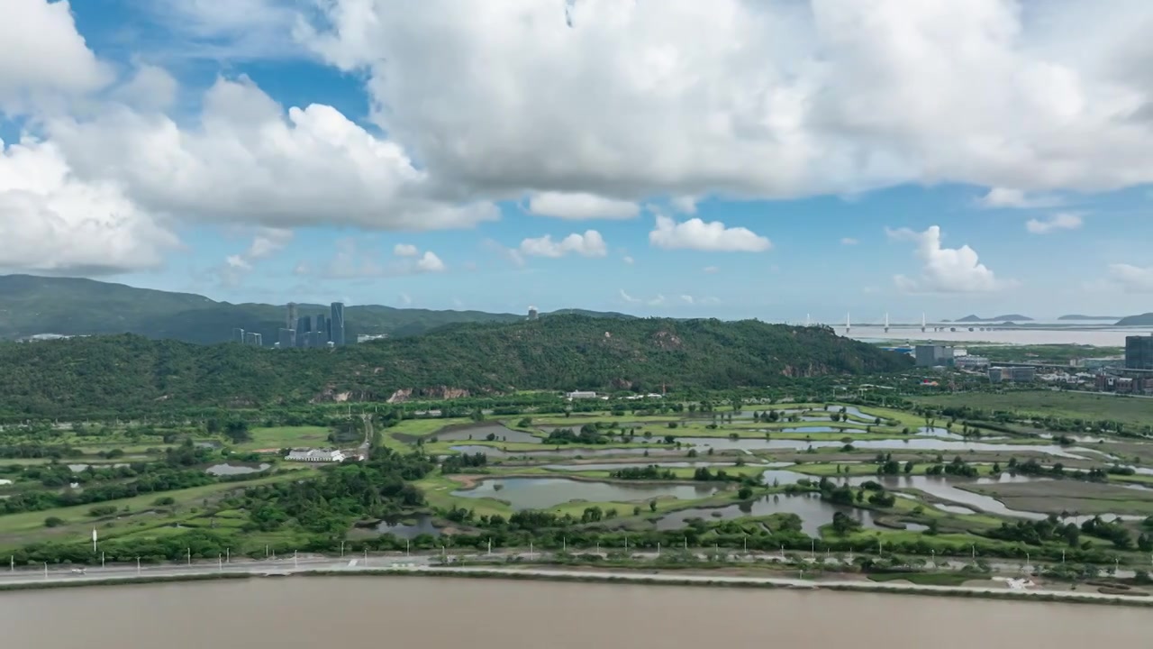 航拍珠海横琴高尔夫球场视频素材