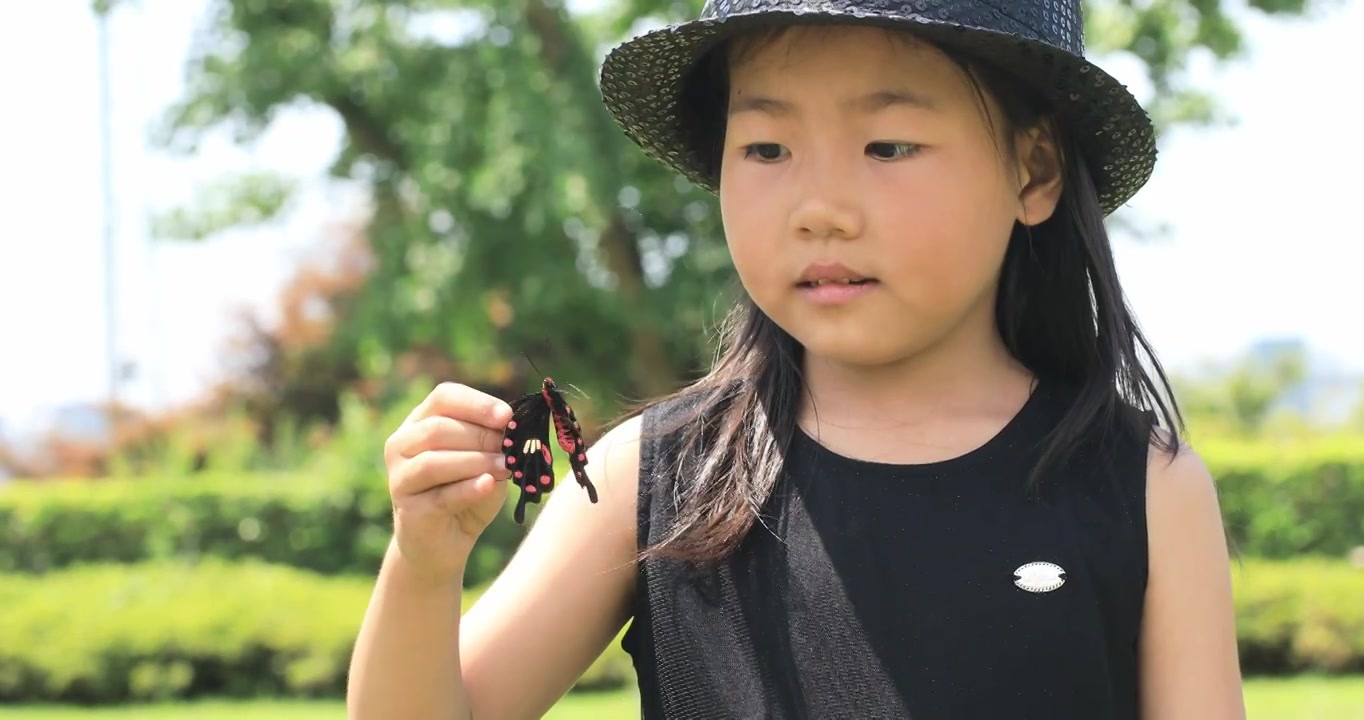 可爱小女孩抓到一只漂亮的蝴蝶 认真观察蝴蝶视频素材