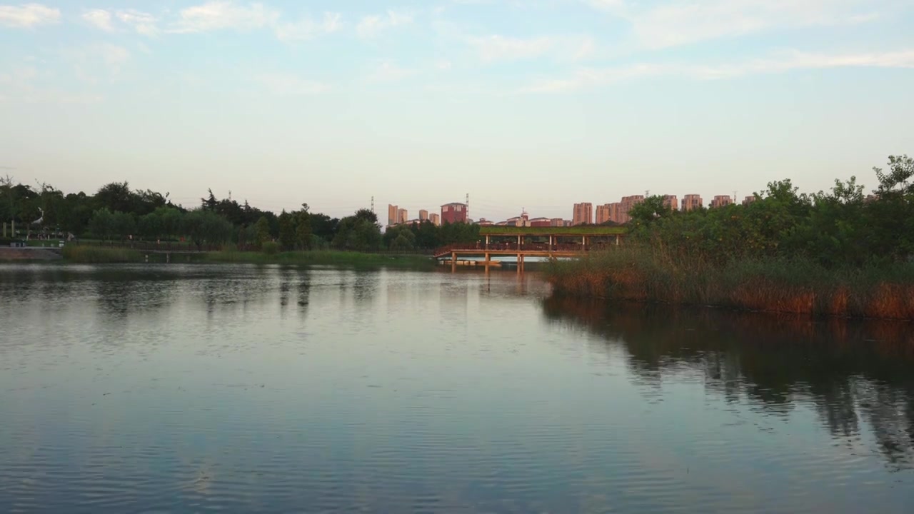 夏天松雅湖湿地公园被风吹动的湖水视频素材