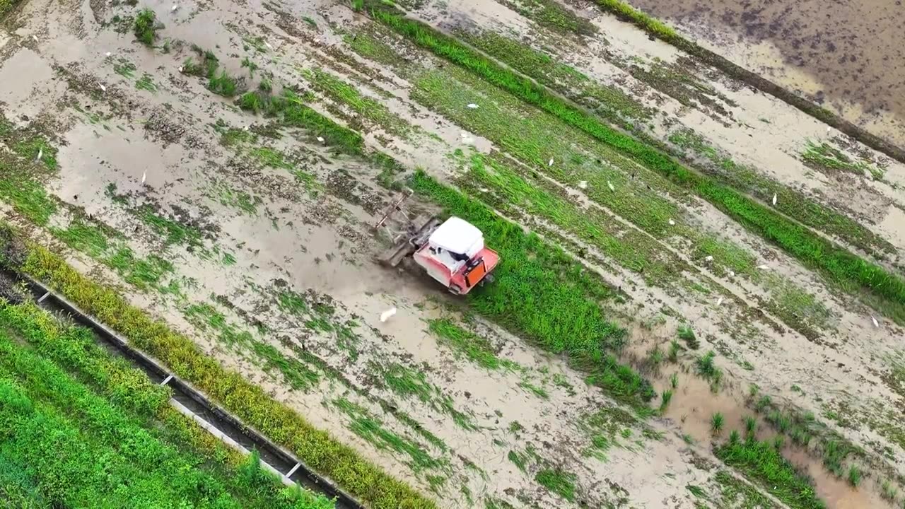 一个人开着犁地机在田地里耕犁视频素材