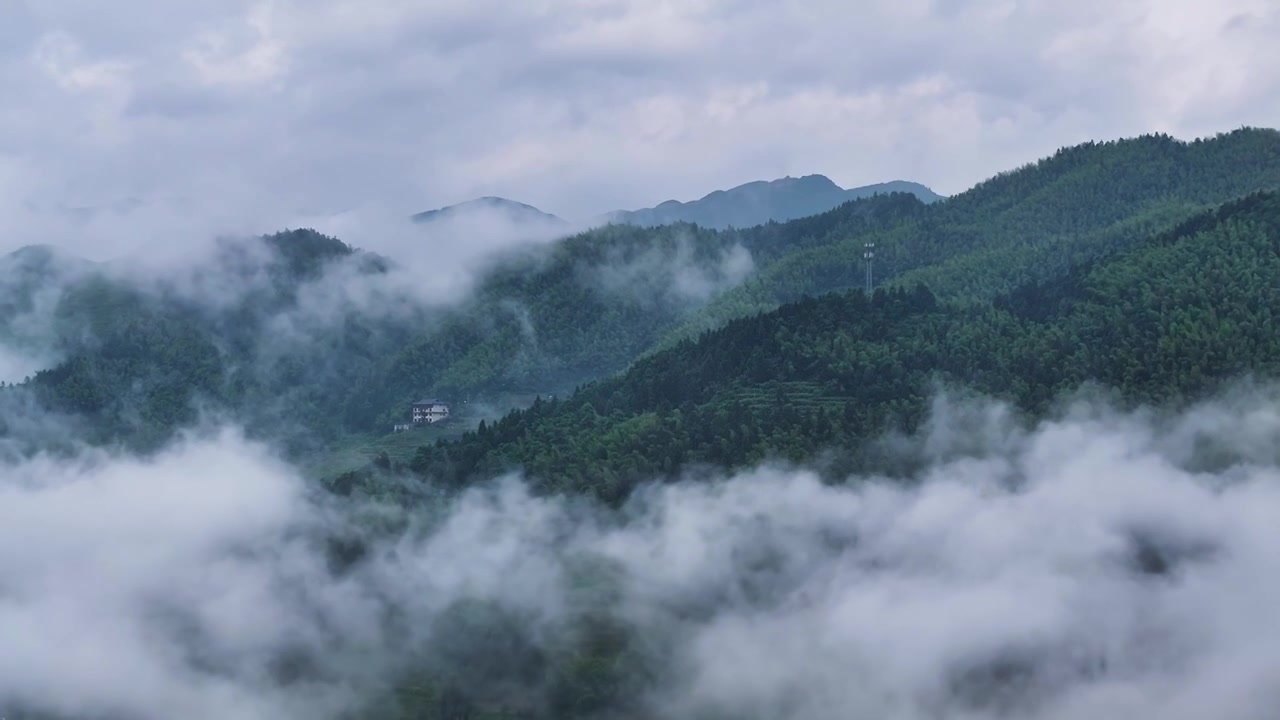 云雾中的紫鹊界梯田航拍视频视频下载