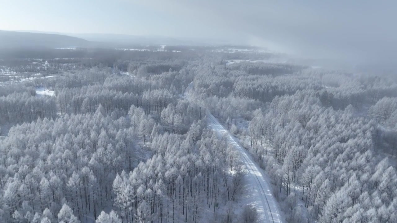 航拍林海雪原雪林和山路视频下载