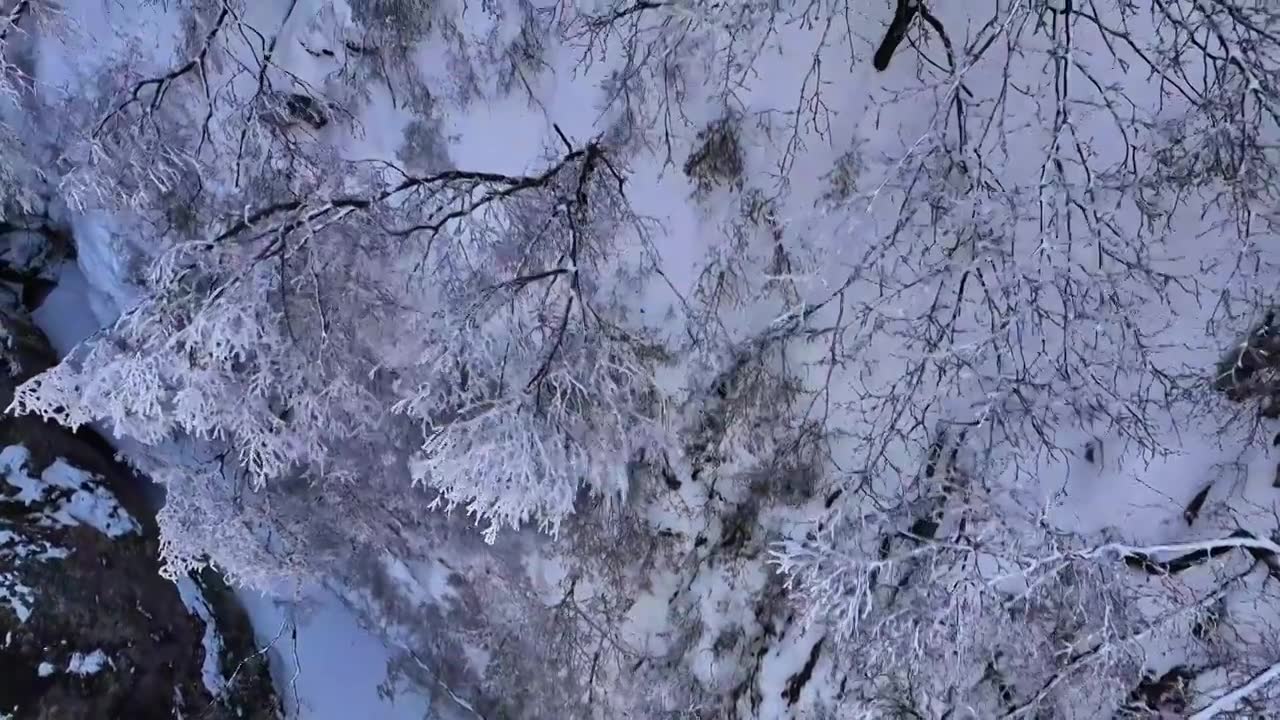 山西省长治市板山春雪后树木景色视频素材