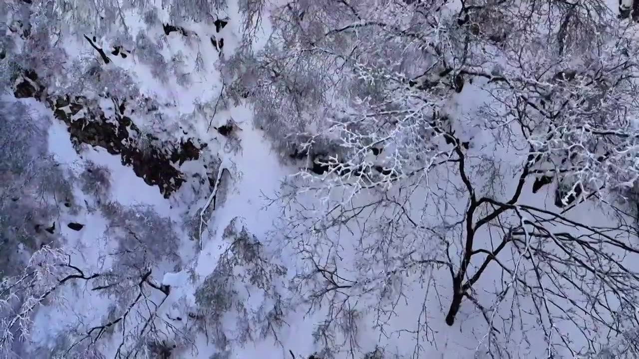 山西省长治市板山春雪后树木景色视频素材