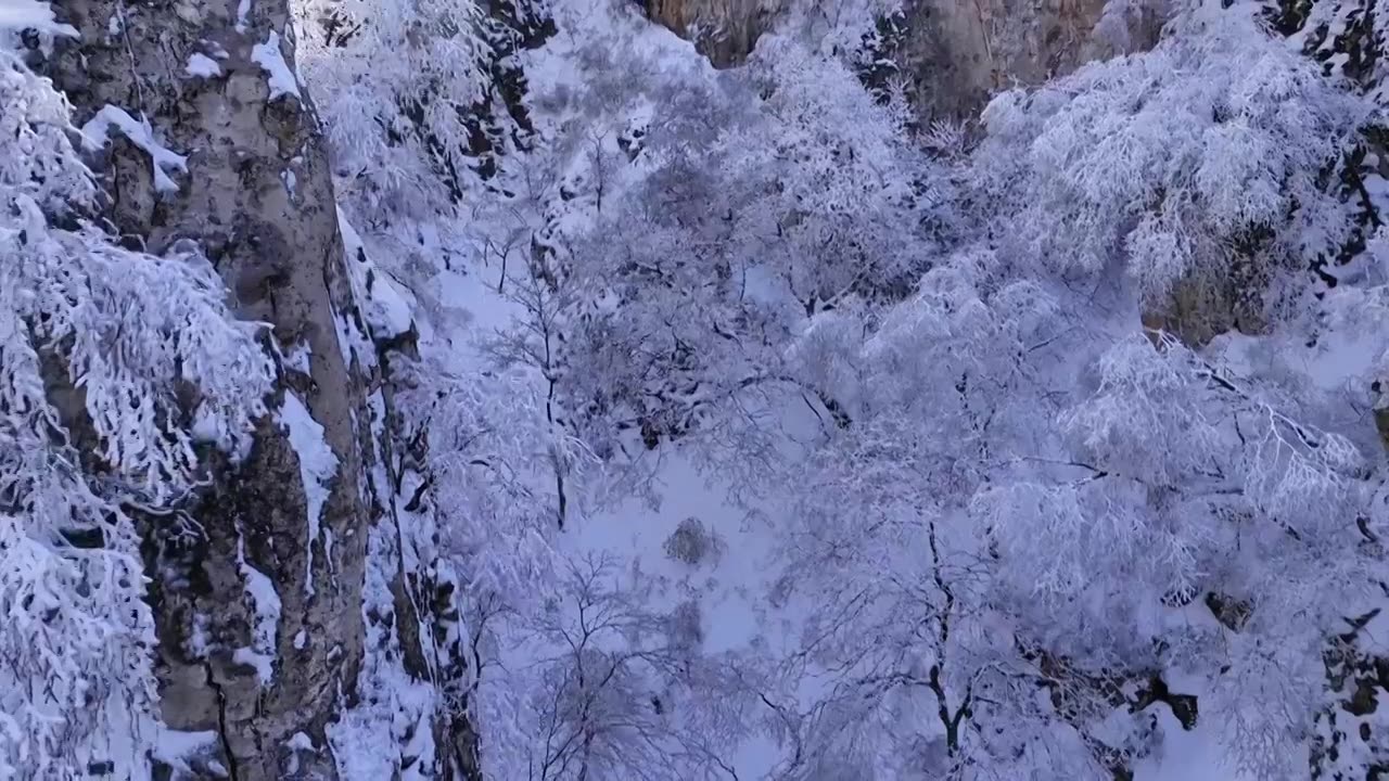 山西省长治市板山春雪后树木景色视频素材