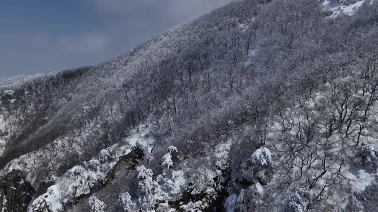 山西省长治市板山春雪后树木景色视频素材