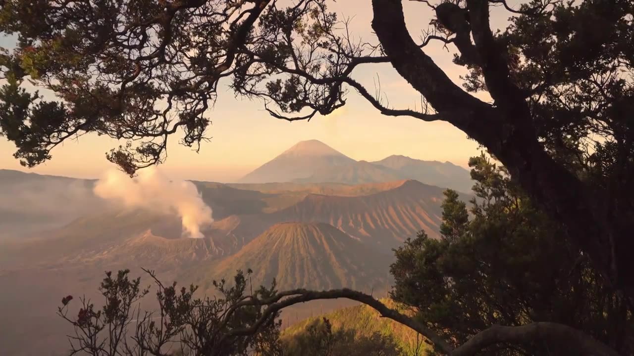 树框里的布罗莫火山视频下载