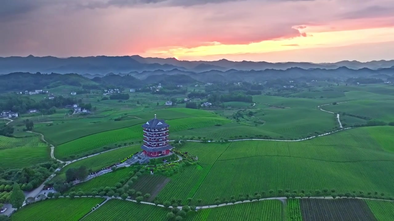 贵州湄潭中国茶海日落航拍视频素材