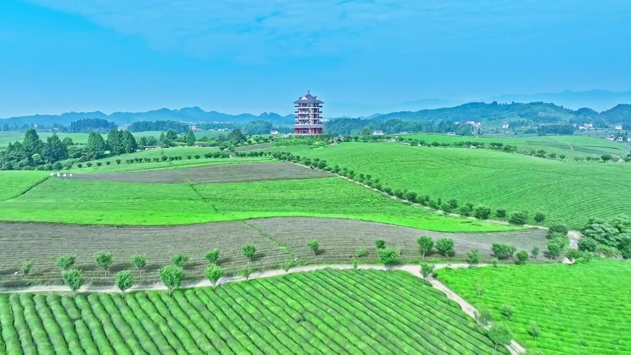 4K贵州遵义湄潭茶海航拍视频素材