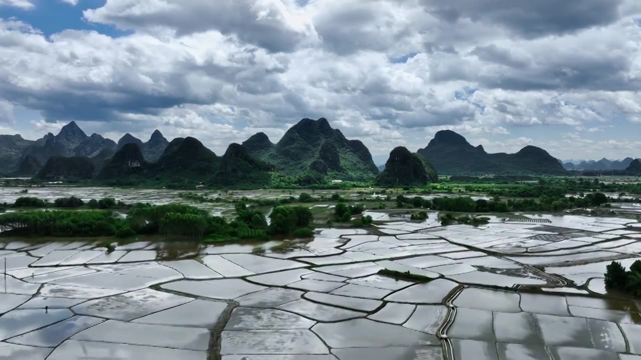 蓝天白云阳光下桂林乡村正在插秧的水稻田视频下载