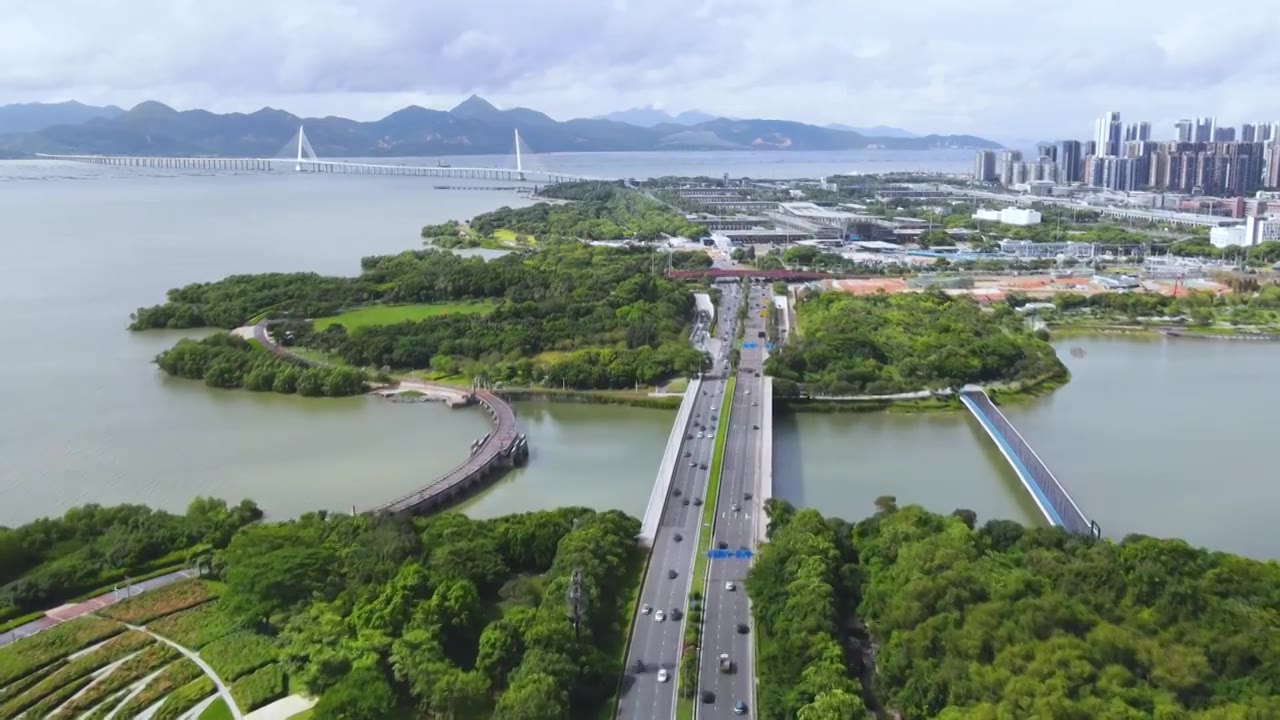 航拍深圳湾公园城市风光视频素材