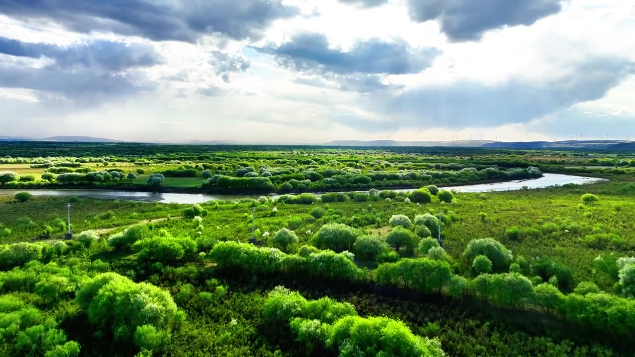 航拍春季湿地河岸花开视频下载