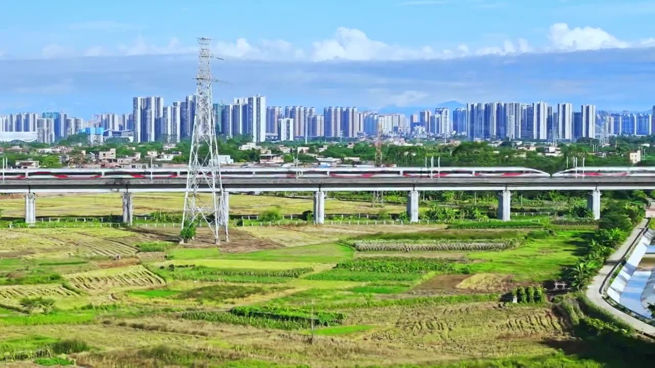 高铁乡村振兴稻田视频素材