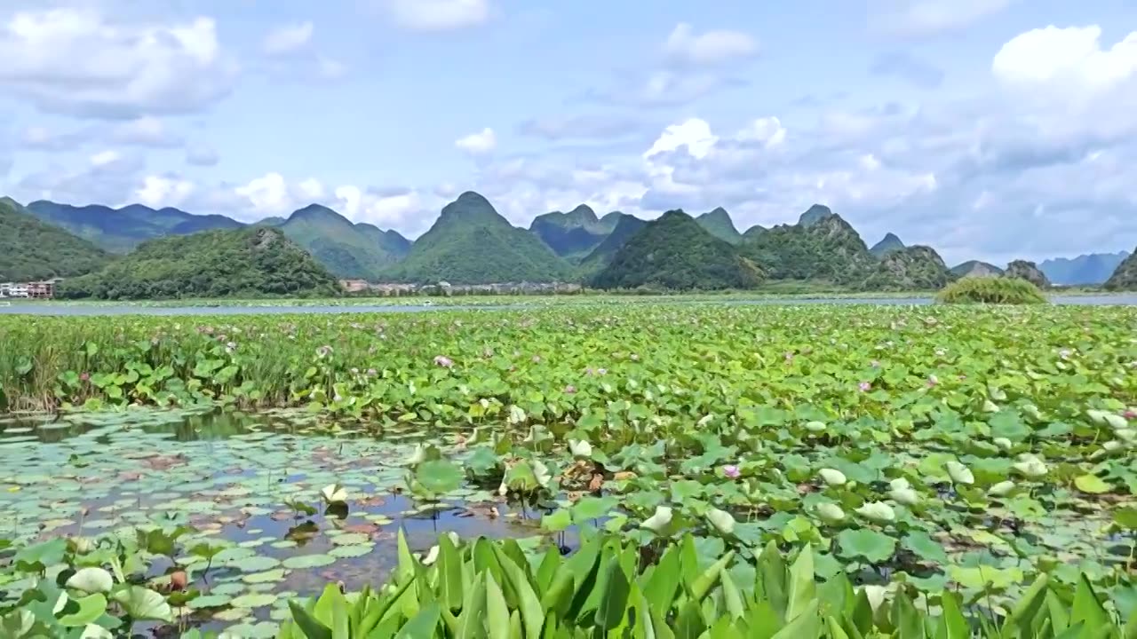 云南普者黑景观视频素材