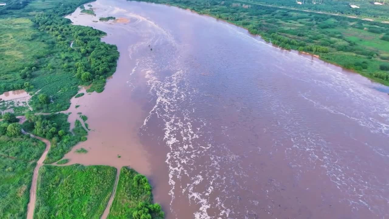 黄河支流渭河大桥航拍渭河大桥渭河湿地生态视频素材