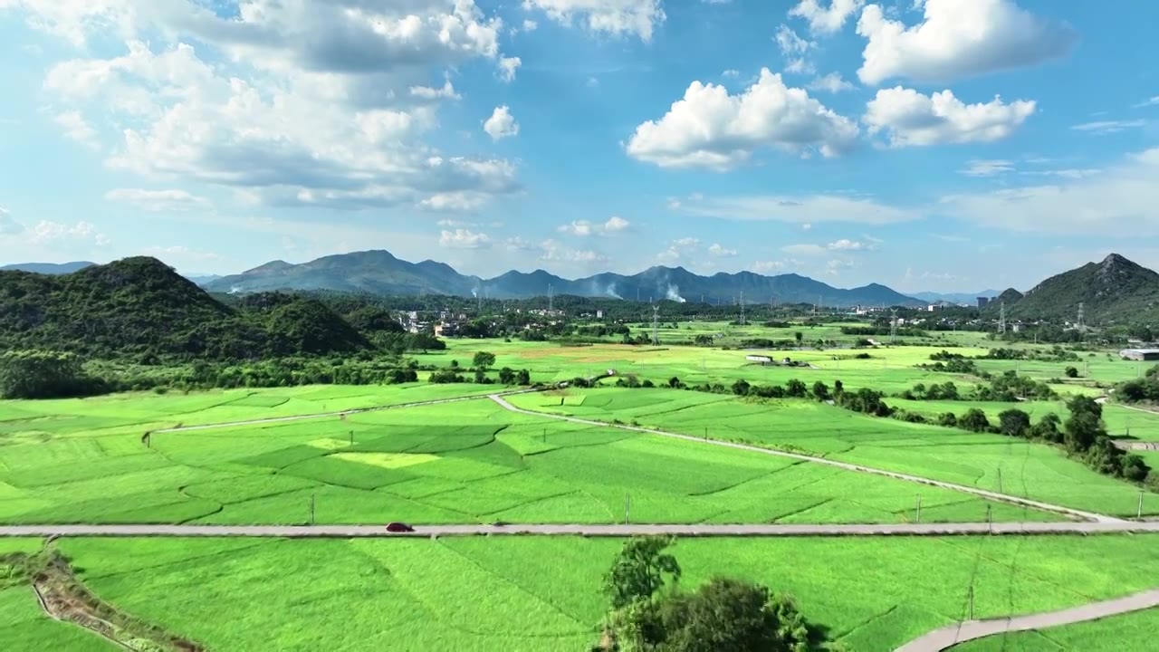 蓝天白云阳光下桂林乡村公路两旁绿色的稻田视频素材