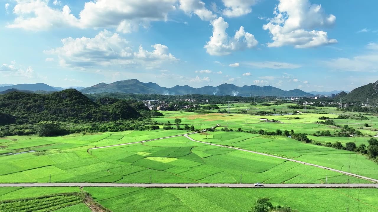 蓝天白云阳光下桂林乡村公路两旁绿色的稻田视频素材