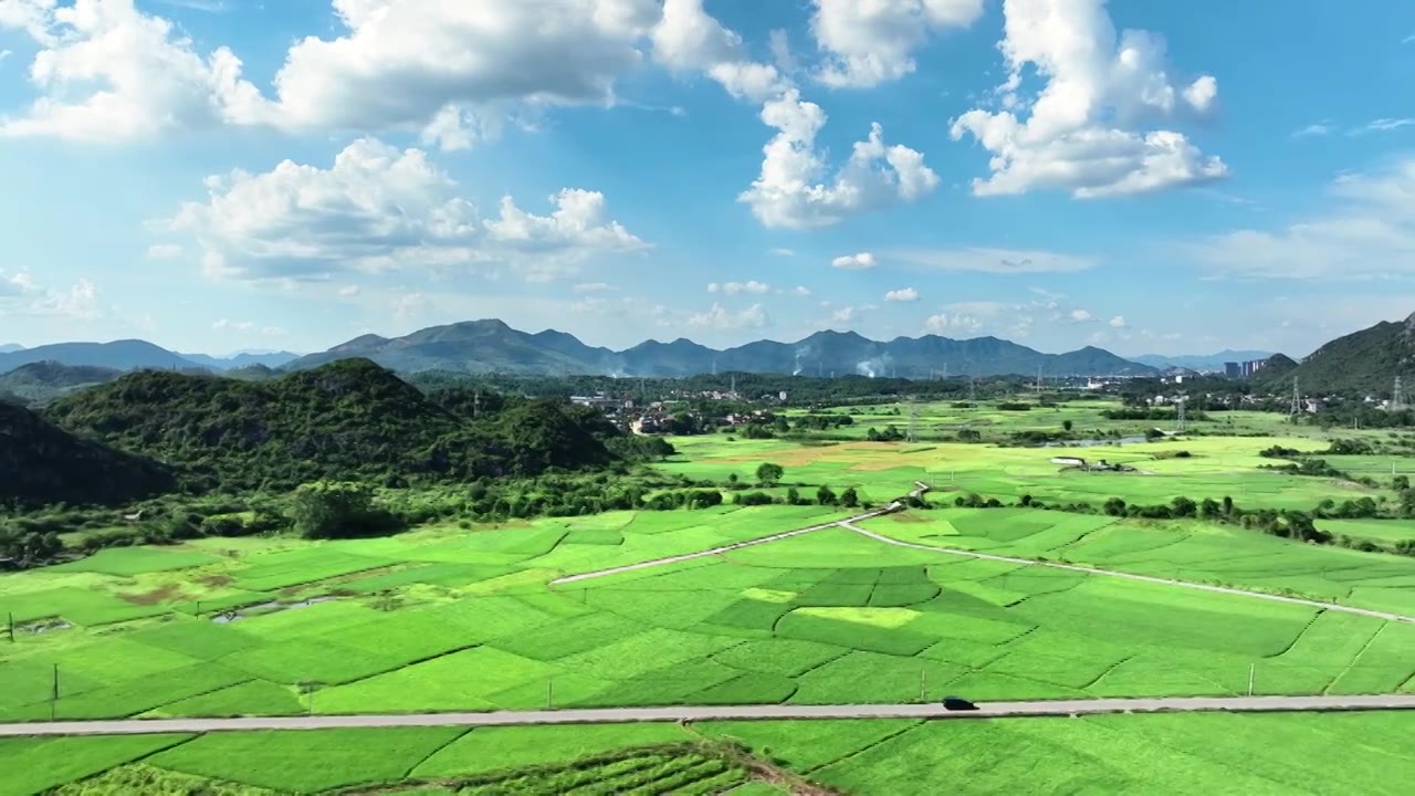 蓝天白云阳光下桂林乡村公路两旁绿色的稻田视频素材