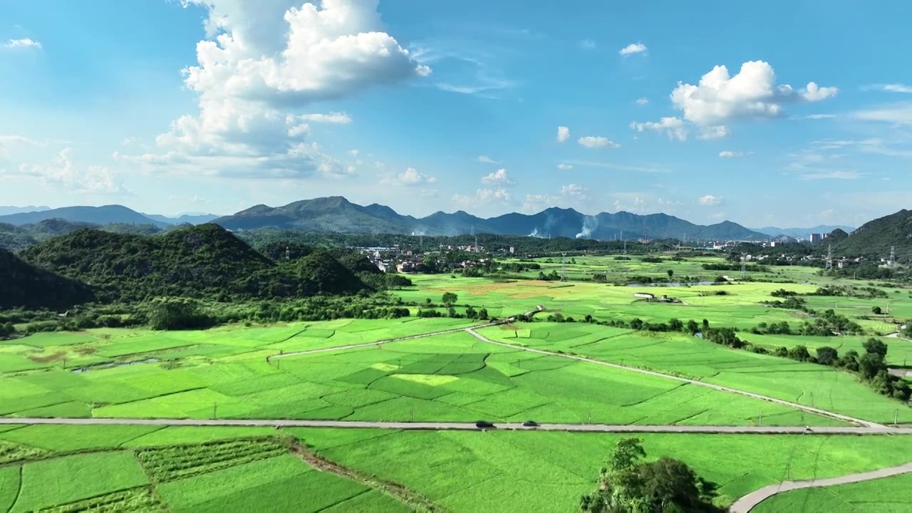 蓝天白云阳光下桂林乡村公路两旁绿色的稻田视频素材