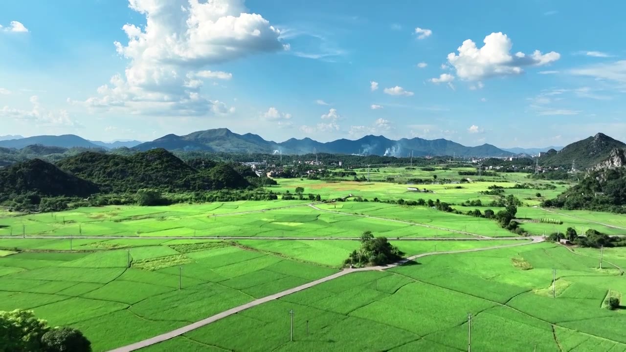 蓝天白云阳光下桂林乡村公路两旁绿色的稻田视频素材