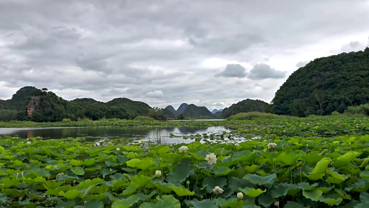 云南普者黑风景区视频素材