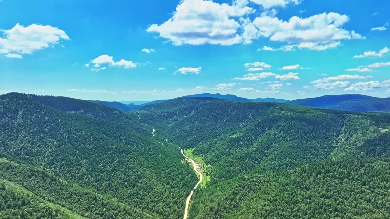 森林山脉环保低碳山区绿色视频下载