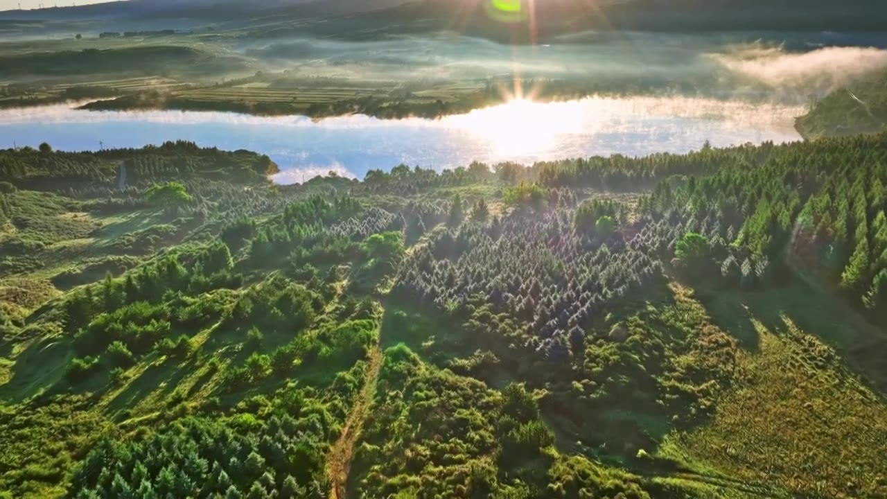 芦芽山原始森林夏季秋季云海绿色视频下载