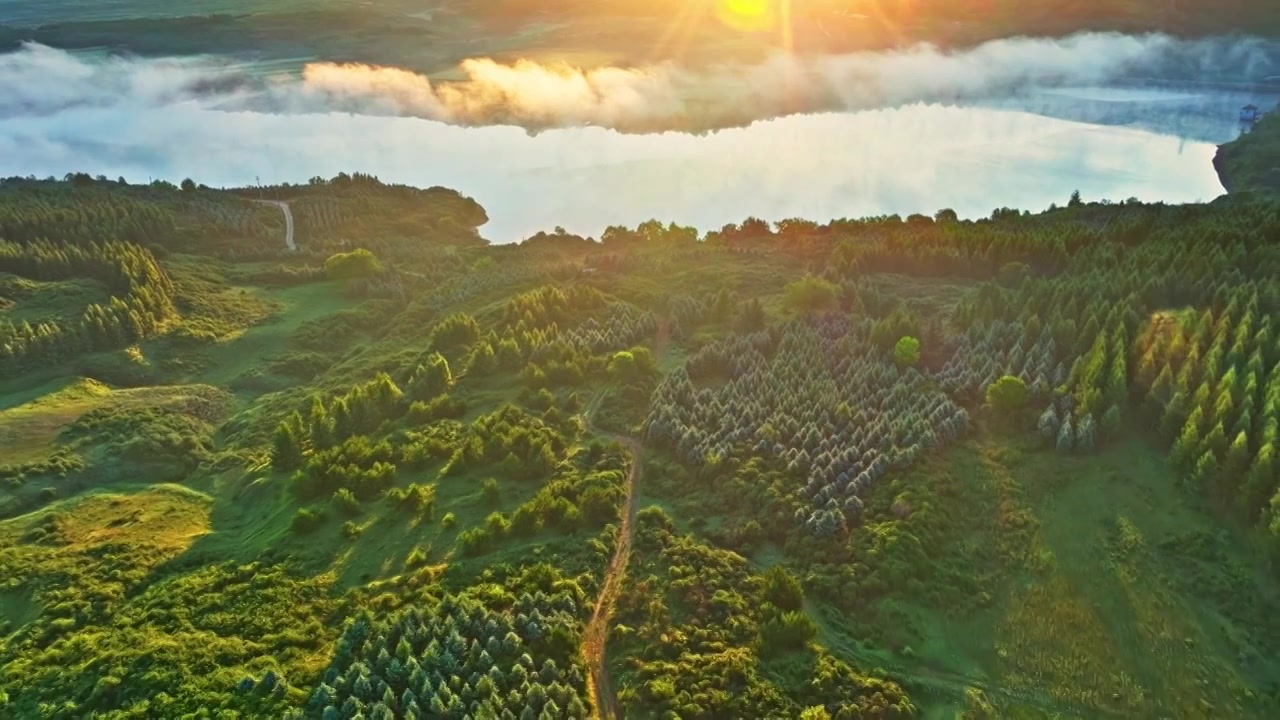 芦芽山原始森林夏季秋季云海绿色视频素材