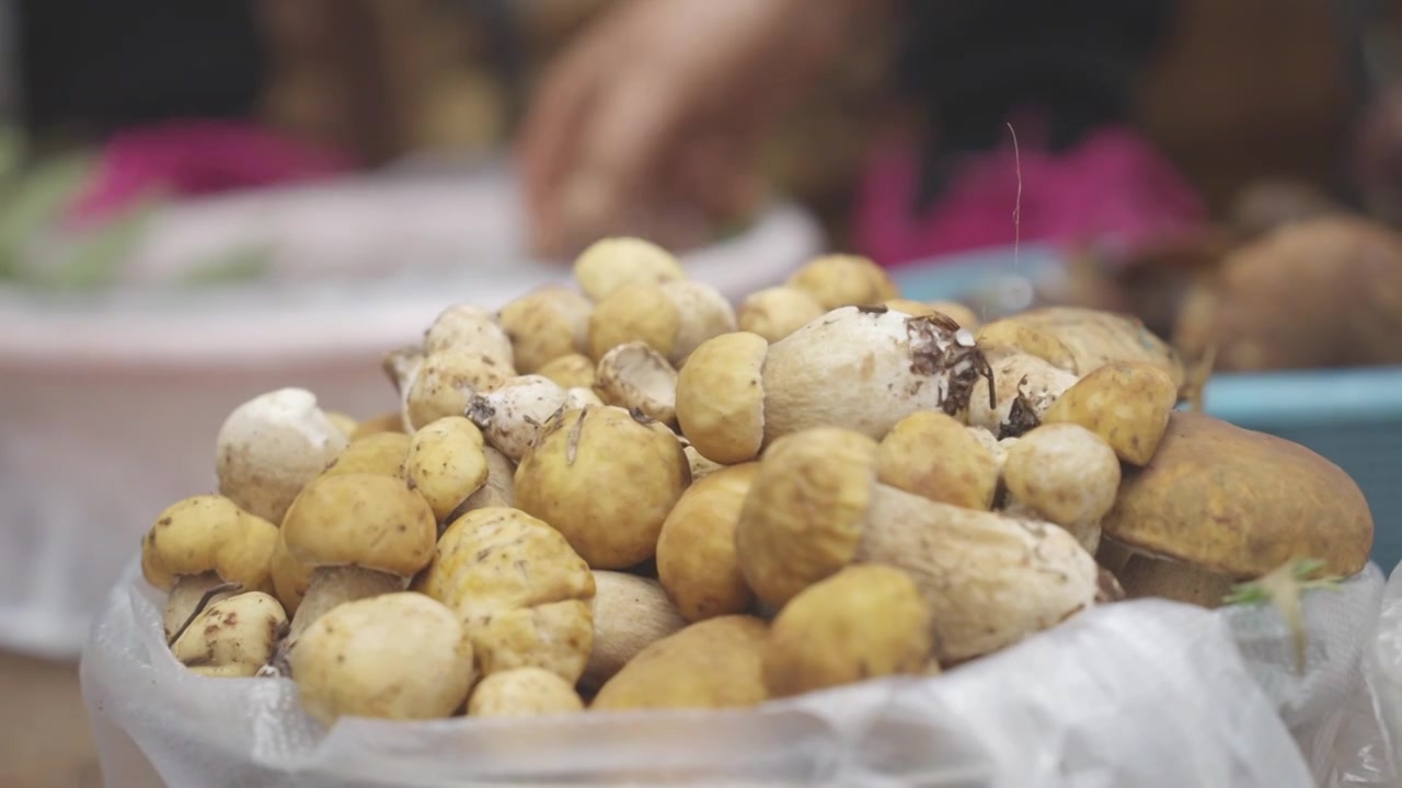 云南夏天的野生菌交易视频素材