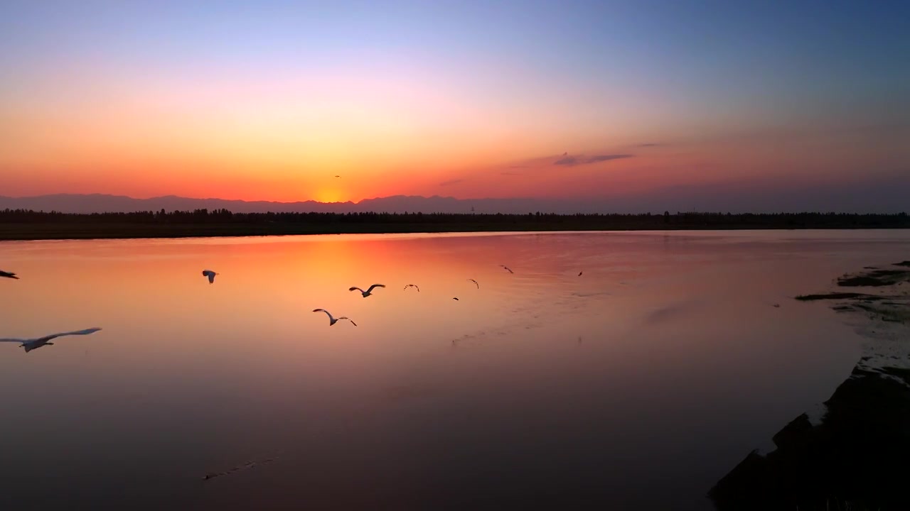 黄河上空的飞鸟视频下载