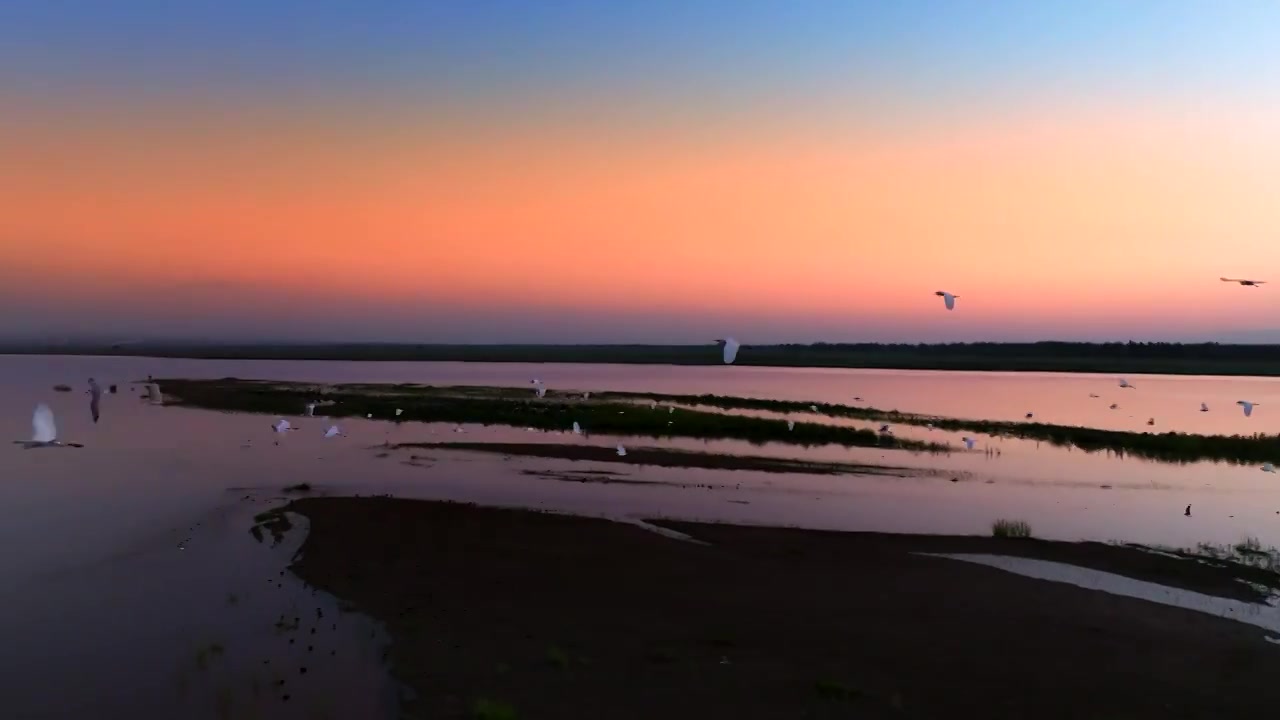 黄河上空的飞鸟视频素材