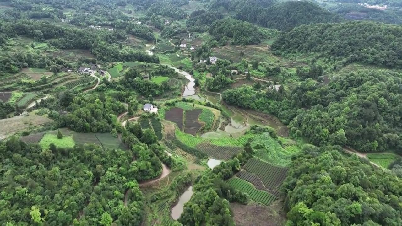 航拍贵州省遵义市湄潭县相间在山间的茶园视频素材