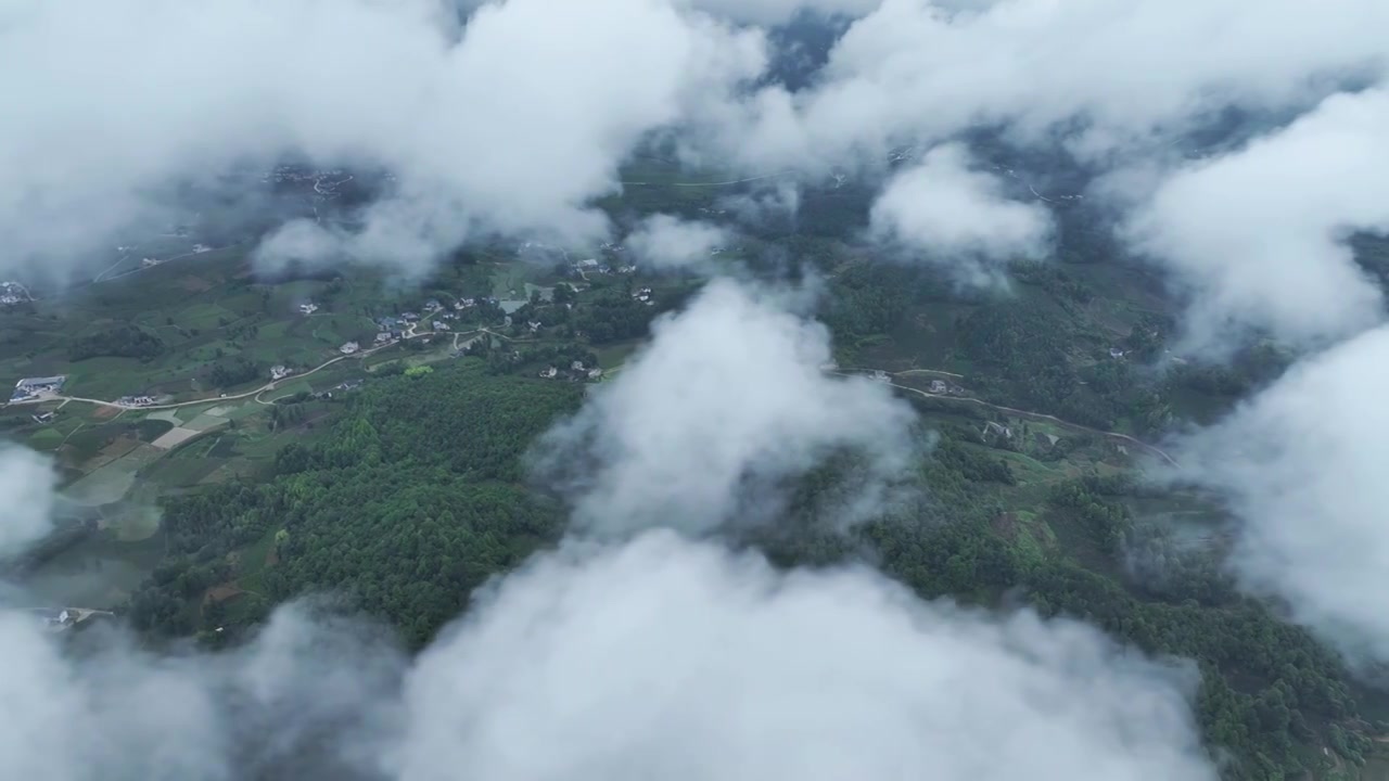 航拍贵州省遵义市湄潭县相间在山间的茶园视频素材