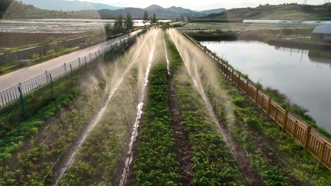 贵州省威宁县大鹏农业喷水种植浇水视频下载