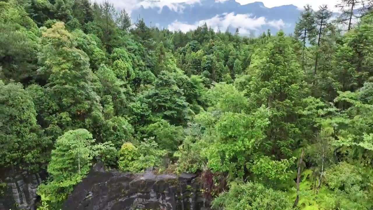 雨后放晴的恩施梭布亚石林视频下载