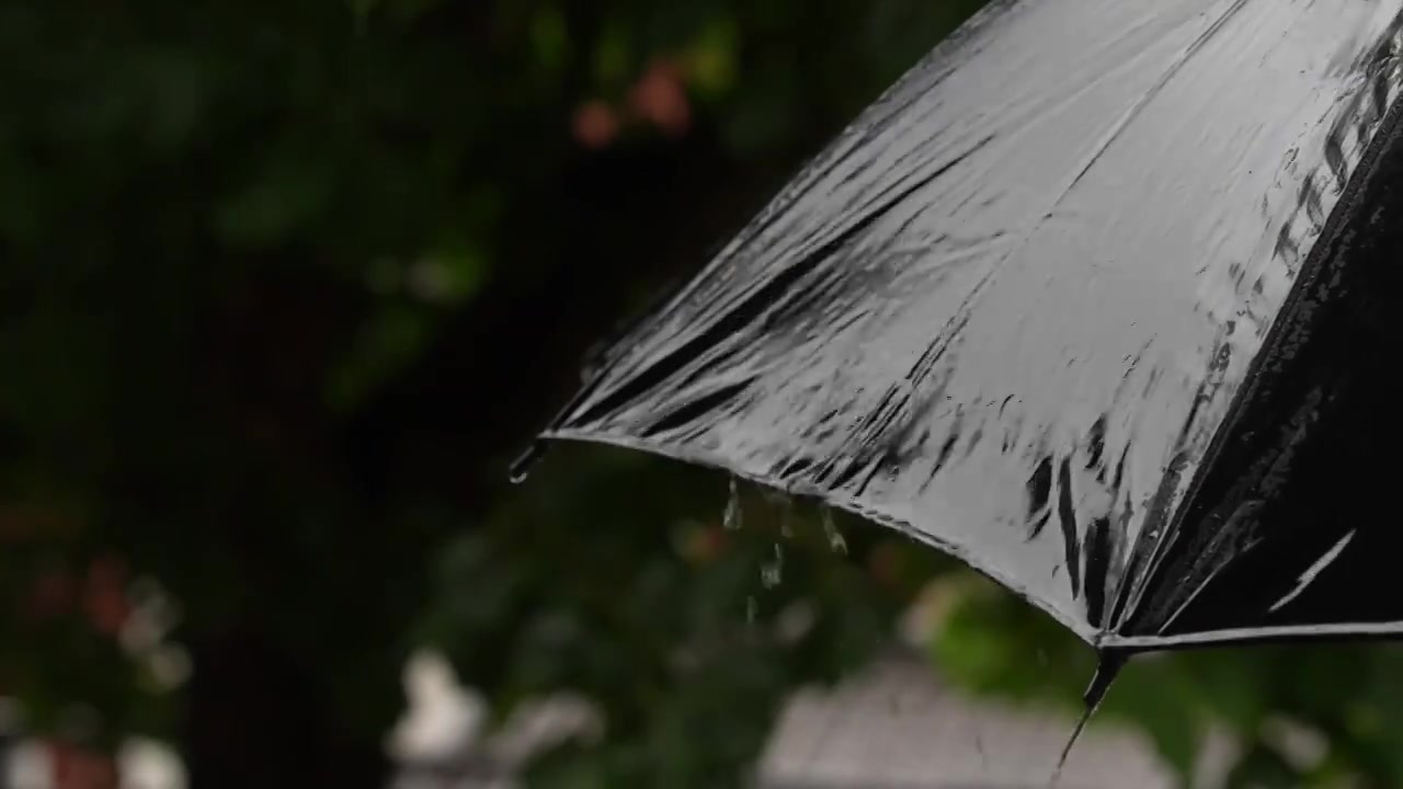 下雨天雨和伞的慢动作视频素材