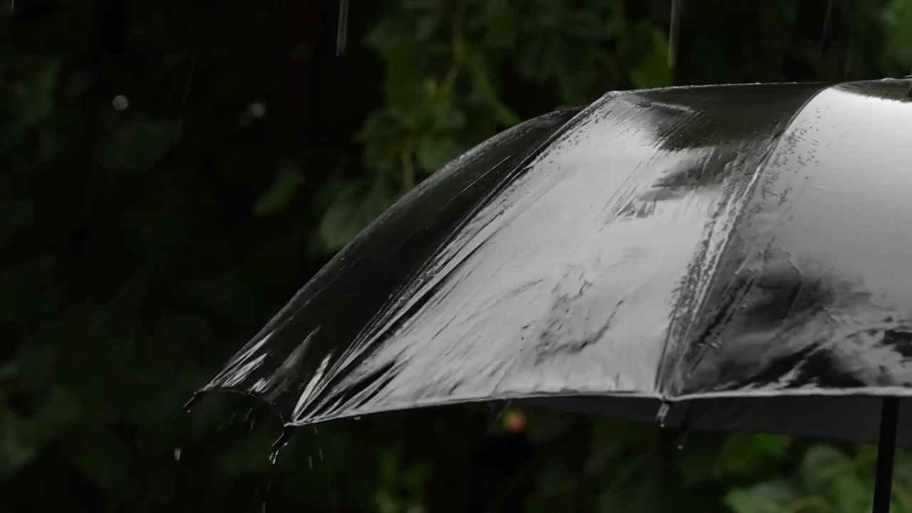 下雨天雨和伞的慢动作视频素材