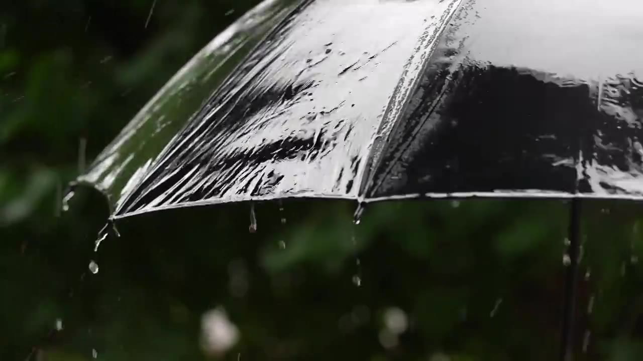 下雨天雨和伞的慢动作视频素材