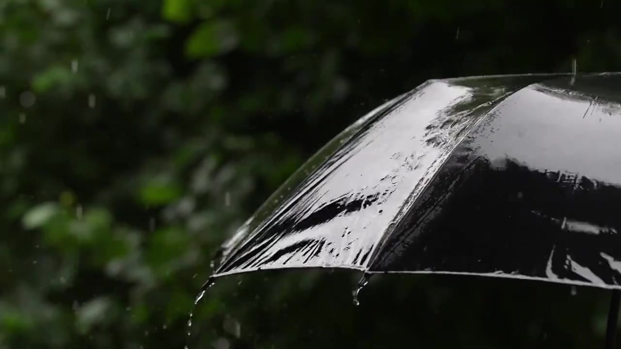 下雨天雨和伞的慢动作视频素材