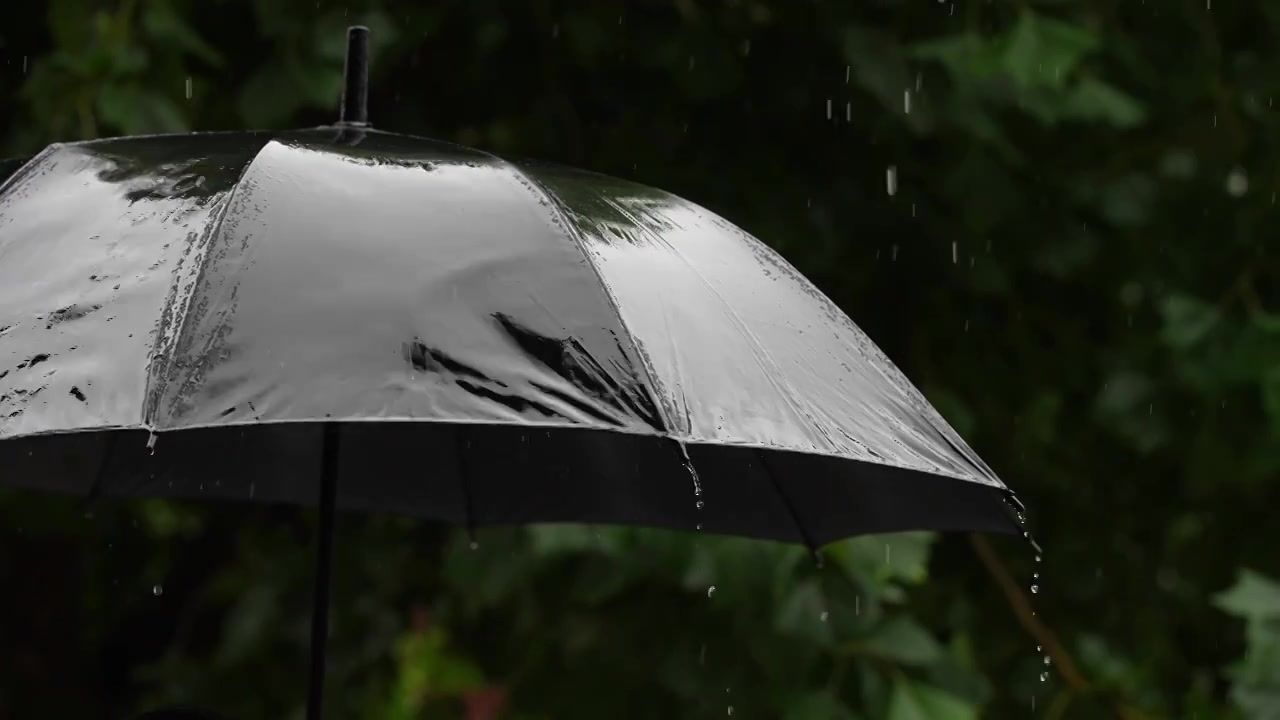 下雨天雨和伞的慢动作视频素材